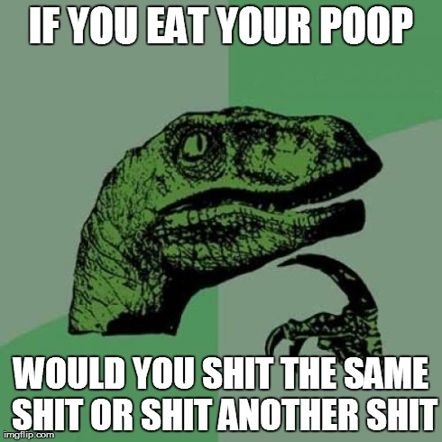 Philosoraptor Meme | IF YOU EAT YOUR POOP WOULD YOU SHIT THE SAME SHIT OR SHIT ANOTHER SHIT | image tagged in memes,philosoraptor | made w/ Imgflip meme maker