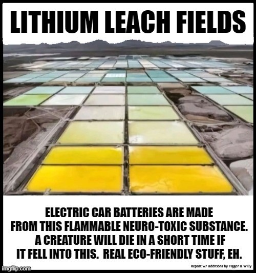 I Prefer My Gasoline Car | LITHIUM LEACH FIELDS | made w/ Imgflip meme maker