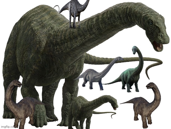 Apatosaurus and her kids | image tagged in apatosaurus 6 | made w/ Imgflip meme maker