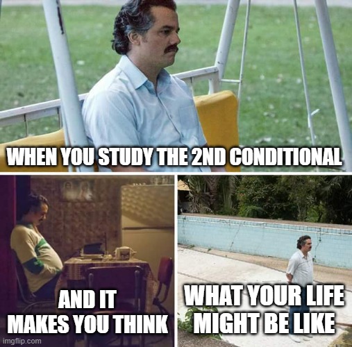 Sad Pablo Escobar | WHEN YOU STUDY THE 2ND CONDITIONAL; AND IT MAKES YOU THINK; WHAT YOUR LIFE MIGHT BE LIKE | image tagged in memes,sad pablo escobar | made w/ Imgflip meme maker