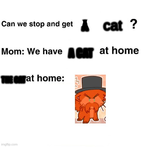 i post rhm cat ver memes | cat; A; A CAT; THE CAT | image tagged in at home | made w/ Imgflip meme maker