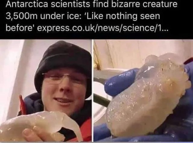 The Thing 1982 Blank Meme Template