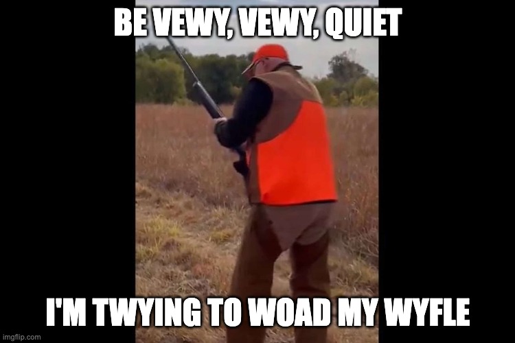 The Quail Are Safe Today | BE VEWY, VEWY, QUIET; I'M TWYING TO WOAD MY WYFLE | image tagged in walz,this is my rifle there are many like it but this one's mine | made w/ Imgflip meme maker