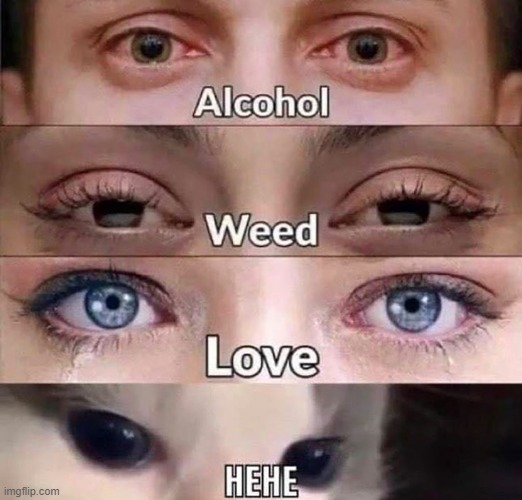 Comparison | image tagged in alcohol,weed,love,cat,hehe,cats | made w/ Imgflip meme maker