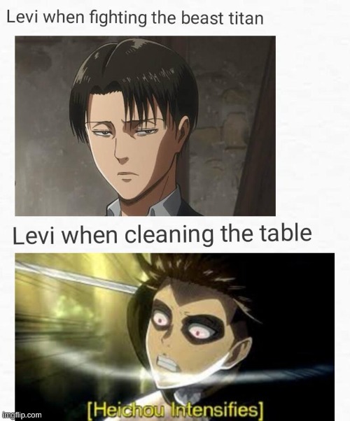 The real reason Erwin died | image tagged in snk,aot,shingeki no kyojin,attack on titan,levi,anime | made w/ Imgflip meme maker