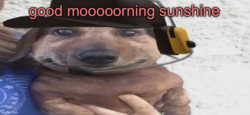 chucklenuts | good mooooorning sunshine | image tagged in chucklenuts | made w/ Imgflip meme maker