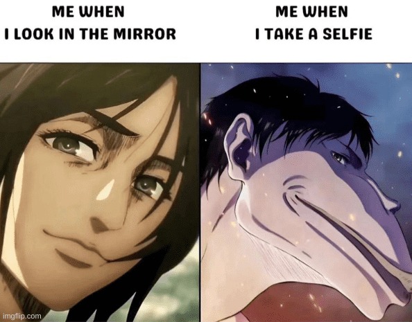 dot | image tagged in aot,snk,shingeki no kyojin,attack on titan,mirror,selfie fail | made w/ Imgflip meme maker