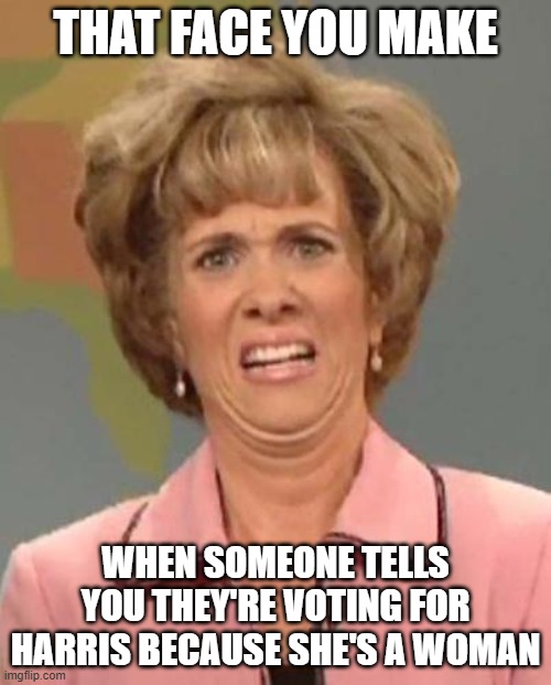 Disgusted Kristin Wiig | THAT FACE YOU MAKE; WHEN SOMEONE TELLS YOU THEY'RE VOTING FOR HARRIS BECAUSE SHE'S A WOMAN | image tagged in disgusted kristin wiig,harris | made w/ Imgflip meme maker