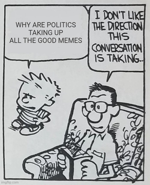 I don't like the direction this conversation is taking | WHY ARE POLITICS TAKING UP ALL THE GOOD MEMES | image tagged in i don't like the direction this conversation is taking | made w/ Imgflip meme maker