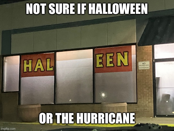 Haleen | NOT SURE IF HALLOWEEN; OR THE HURRICANE | image tagged in oh wow are you actually reading these tags | made w/ Imgflip meme maker