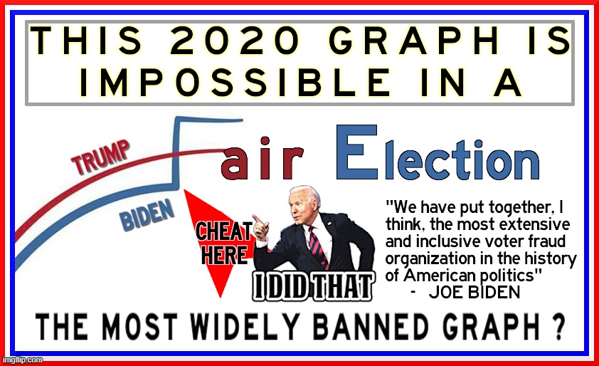 MOST BANNED GRAPH ? | image tagged in 2020 election,graph,biden,voter fraud,impossible,cheat | made w/ Imgflip meme maker