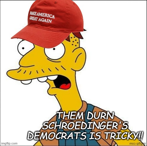 Some Kind Of MAGA Moron | THEM DURN SCHROEDINGER'S DEMOCRATS IS TRICKY!! | image tagged in some kind of maga moron | made w/ Imgflip meme maker