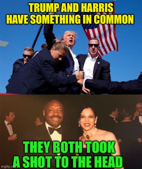 Head shot | TRUMP AND HARRIS HAVE SOMETHING IN COMMON; THEY BOTH TOOK A SHOT TO THE HEAD | image tagged in trump fight fight fight,kamala harris,trump,democrats,head | made w/ Imgflip meme maker