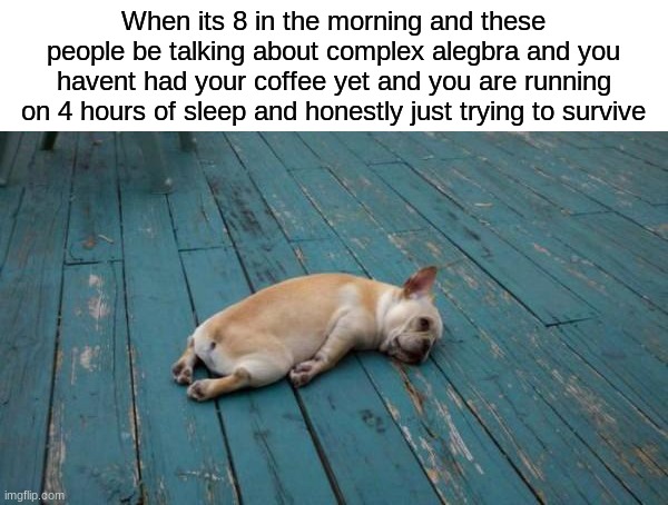 man im so done | When its 8 in the morning and these people be talking about complex alegbra and you havent had your coffee yet and you are running on 4 hours of sleep and honestly just trying to survive | image tagged in tired dog | made w/ Imgflip meme maker