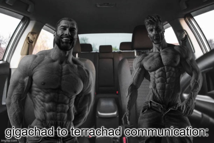 Two Giga chads in the car | gigachad to terrachad communication: | image tagged in two giga chads in the car | made w/ Imgflip meme maker