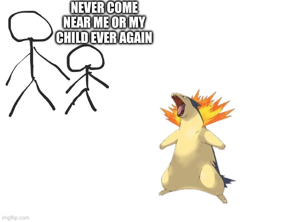 Typhlosion is crazy | NEVER COME NEAR ME OR MY CHILD EVER AGAIN | image tagged in pokemon | made w/ Imgflip meme maker