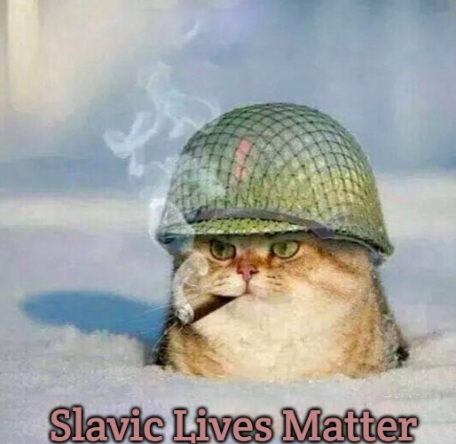 War Cat | Slavic Lives Matter | image tagged in war cat,slavic | made w/ Imgflip meme maker