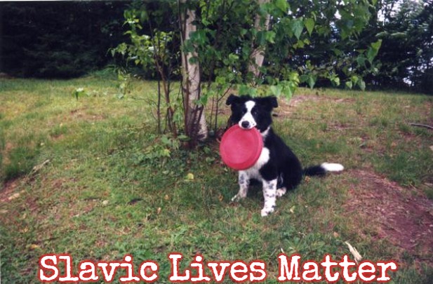 Dog with frisbee | Slavic Lives Matter | image tagged in dog with frisbee,slavic | made w/ Imgflip meme maker