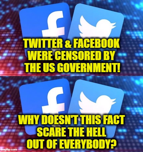 Looking through the Overton window | TWITTER & FACEBOOK 
WERE CENSORED BY 
THE US GOVERNMENT! WHY DOESN'T THIS FACT
SCARE THE HELL
OUT OF EVERYBODY? | made w/ Imgflip meme maker