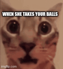 your balls | WHEN SHE TAKES YOUR BALLS | image tagged in gifs,funny | made w/ Imgflip images-to-gif maker