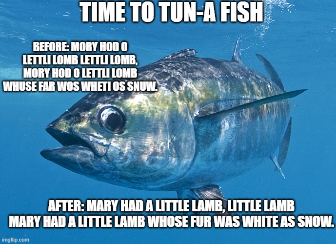 Tuna fish | TIME TO TUN-A FISH; BEFORE: MORY HOD O LETTLI LOMB LETTLI LOMB, MORY HOD O LETTLI LOMB WHUSE FAR WOS WHETI OS SNUW. AFTER: MARY HAD A LITTLE LAMB, LITTLE LAMB MARY HAD A LITTLE LAMB WHOSE FUR WAS WHITE AS SNOW. | image tagged in tuna fish,instruments,little,lamb,fish,tuna | made w/ Imgflip meme maker