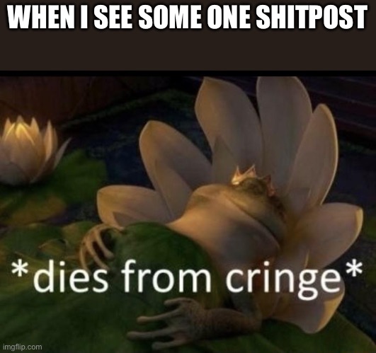 Dies from cringe | WHEN I SEE SOME ONE SHITPOST | image tagged in dies from cringe | made w/ Imgflip meme maker