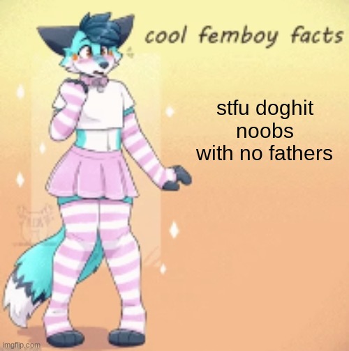 cool femboy facts | stfu doghit noobs with no fathers | image tagged in cool femboy facts | made w/ Imgflip meme maker