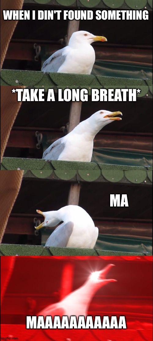 Inhaling Seagull Meme | WHEN I DIN'T FOUND SOMETHING; *TAKE A LONG BREATH*; MA; MAAAAAAAAAAA | image tagged in memes,inhaling seagull | made w/ Imgflip meme maker