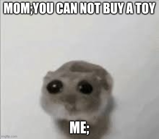 real tho | MOM;YOU CAN NOT BUY A TOY; ME; | image tagged in sad mouse | made w/ Imgflip meme maker