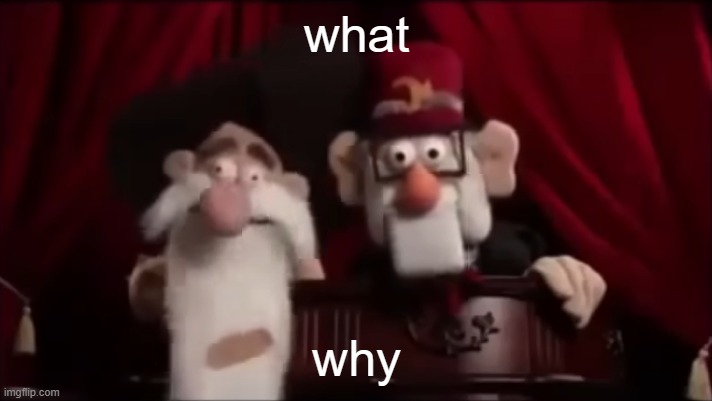 Stan and Mcguckit: Muppet edition | what why | image tagged in stan and mcgukit muppet edition | made w/ Imgflip meme maker