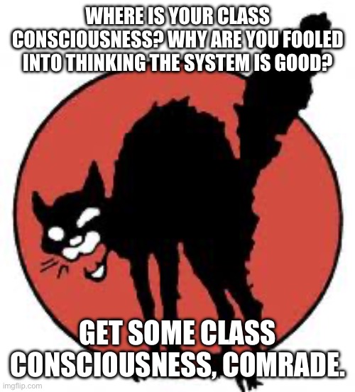 You need it, comrade | WHERE IS YOUR CLASS CONSCIOUSNESS? WHY ARE YOU FOOLED INTO THINKING THE SYSTEM IS GOOD? GET SOME CLASS CONSCIOUSNESS, COMRADE. | image tagged in angry sabo tabby | made w/ Imgflip meme maker