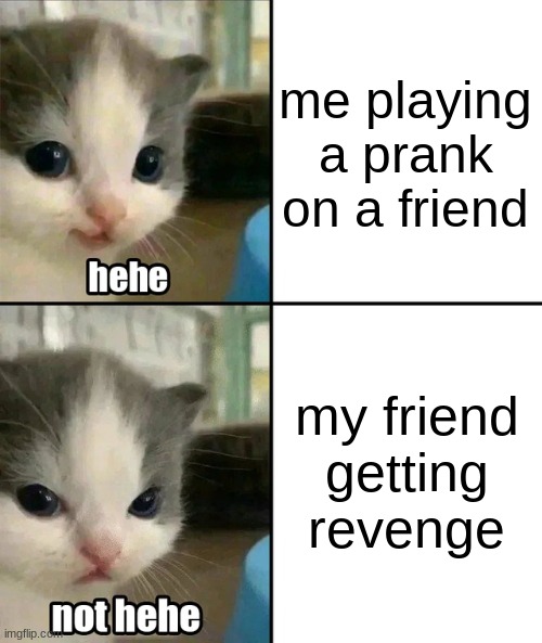 It was just a prank bro!..................wait what are you doing | me playing a prank on a friend; my friend getting revenge | image tagged in cute cat hehe and not hehe | made w/ Imgflip meme maker