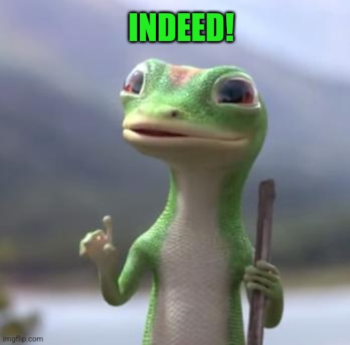 Geico Gecko | INDEED! | image tagged in geico gecko | made w/ Imgflip meme maker