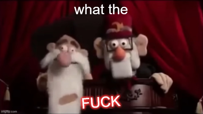 Stan and Mcguckit: Muppet edition | what the FUCK | image tagged in stan and mcgukit muppet edition | made w/ Imgflip meme maker