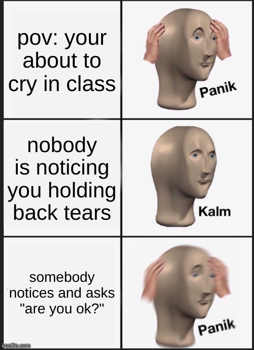 Panik Kalm Panik | pov: your about to cry in class; nobody is noticing you holding back tears; somebody notices and asks "are you ok?" | image tagged in memes,panik kalm panik | made w/ Imgflip meme maker