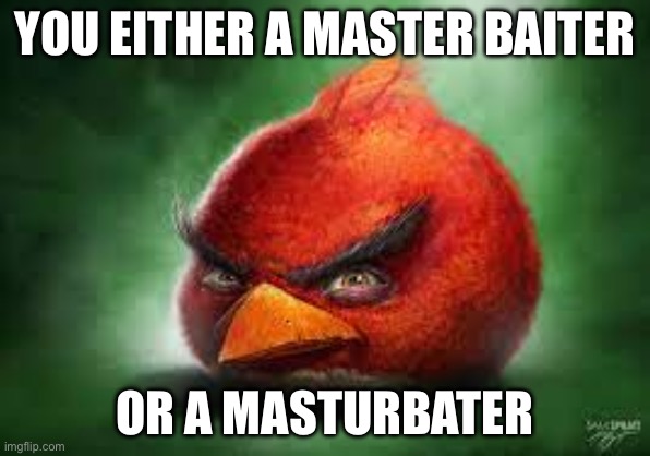 Realistic Red Angry Birds | YOU EITHER A MASTER BAITER OR A MASTURBATER | image tagged in realistic red angry birds | made w/ Imgflip meme maker