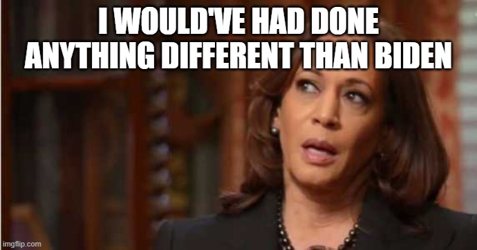 Kamala Harris | I WOULD'VE HAD DONE ANYTHING DIFFERENT THAN BIDEN | image tagged in kamala harris | made w/ Imgflip meme maker