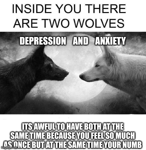 Inside you there are two wolves | DEPRESSION    AND    ANXIETY; ITS AWFUL TO HAVE BOTH AT THE SAME TIME BECAUSE YOU FEEL SO MUCH AS ONCE BUT AT THE SAME TIME YOUR NUMB | image tagged in inside you there are two wolves | made w/ Imgflip meme maker