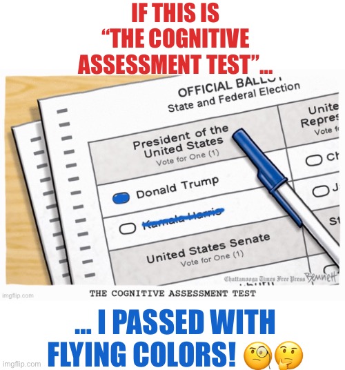 IF THIS IS “THE COGNITIVE ASSESSMENT TEST”…; … I PASSED WITH FLYING COLORS! 🧐🤔 | made w/ Imgflip meme maker