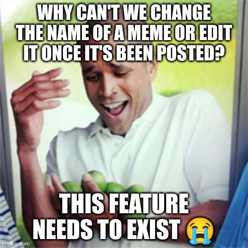 Why Can't We? | WHY CAN'T WE CHANGE THE NAME OF A MEME OR EDIT IT ONCE IT'S BEEN POSTED? THIS FEATURE NEEDS TO EXIST 😭 | image tagged in why cant i,why,tell me why,honey tell me what's wrong,i can't do dis,oh its okay i know what will cheer you up | made w/ Imgflip meme maker