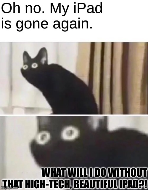 The iPad Has Been Found II | Oh no. My iPad is gone again. WHAT WILL I DO WITHOUT THAT HIGH-TECH, BEAUTIFUL IPAD?! | image tagged in oh no black cat | made w/ Imgflip meme maker