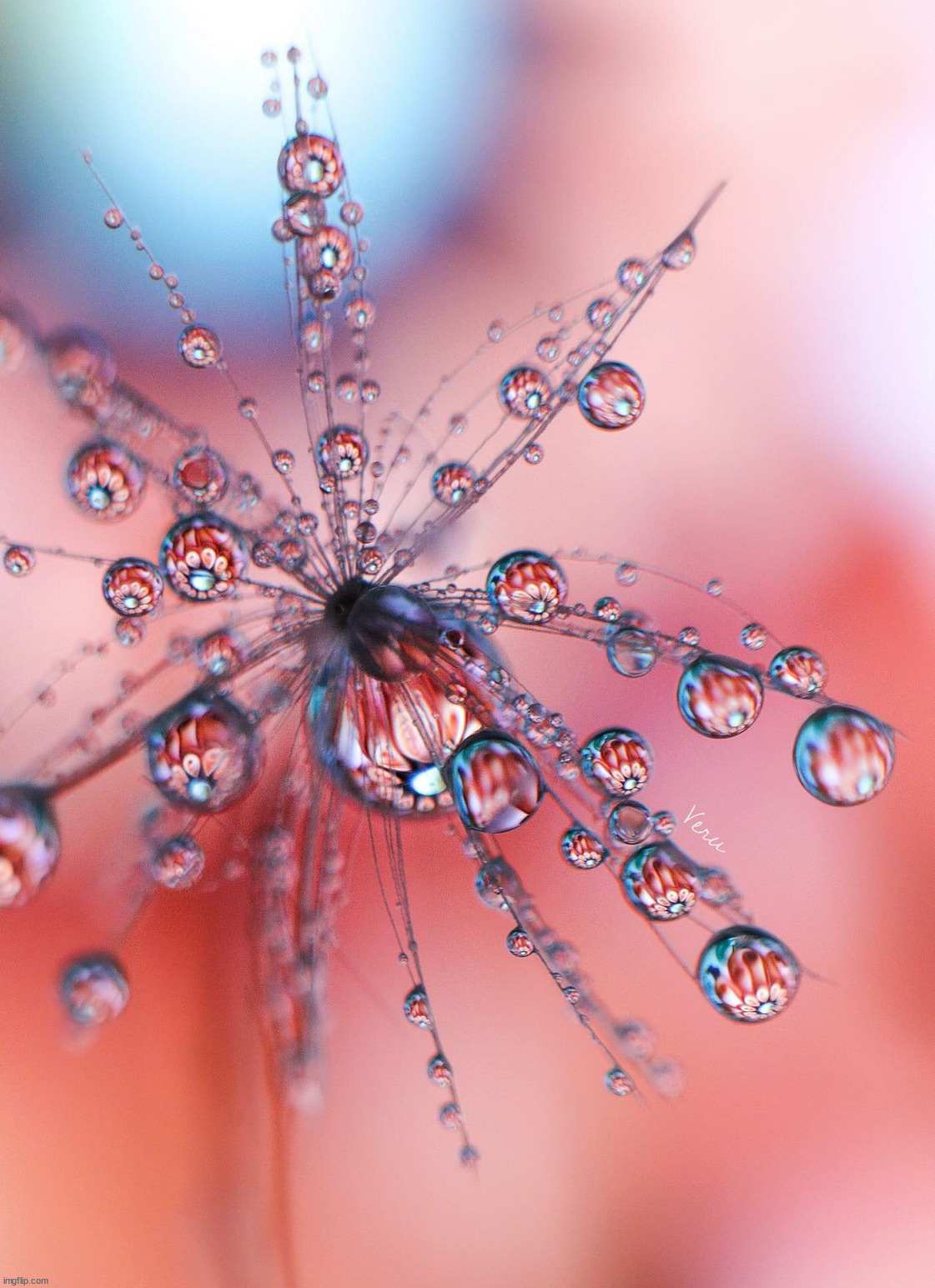 Water droplets | image tagged in awesome | made w/ Imgflip meme maker