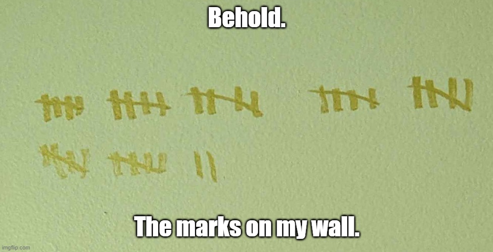 Behold. The marks on my wall. | made w/ Imgflip meme maker