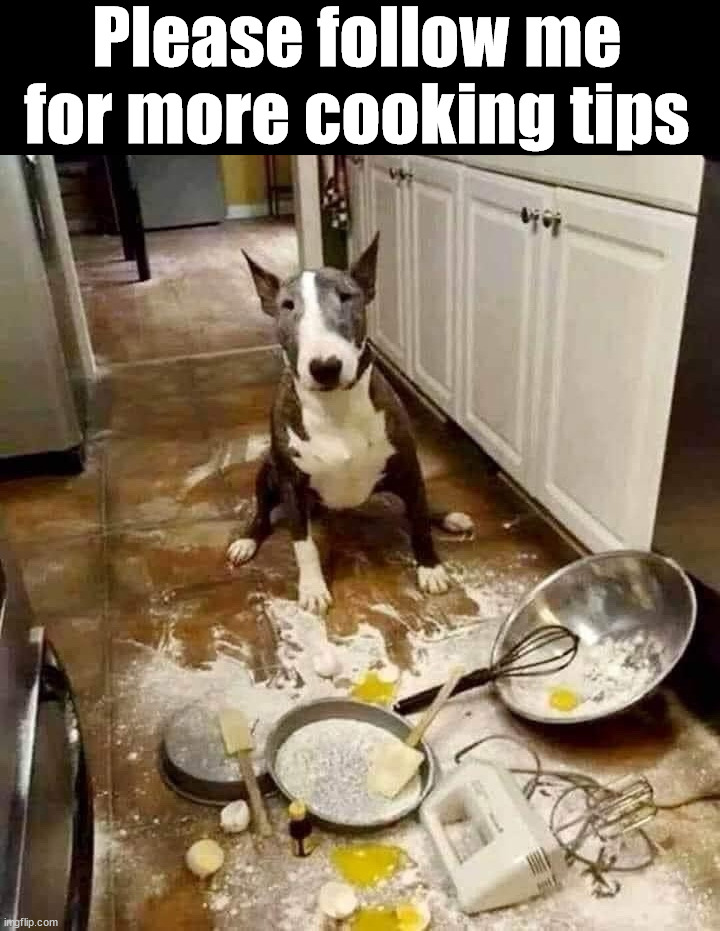 Cooking for dogs | Please follow me for more cooking tips | image tagged in dogs | made w/ Imgflip meme maker