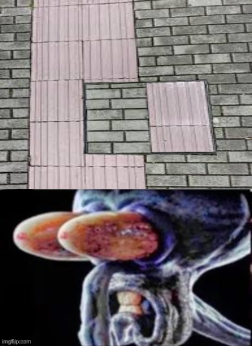 Bricks | image tagged in squidward flabbergasted,bricks,brick,tiles,you had one job,memes | made w/ Imgflip meme maker