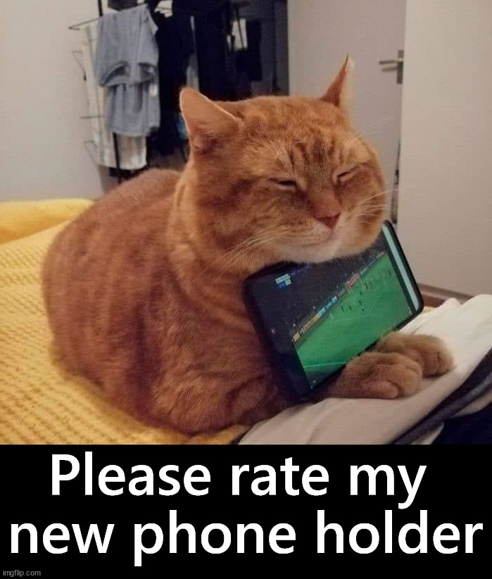 Good while napping | Please rate my 
new phone holder | image tagged in cats | made w/ Imgflip meme maker