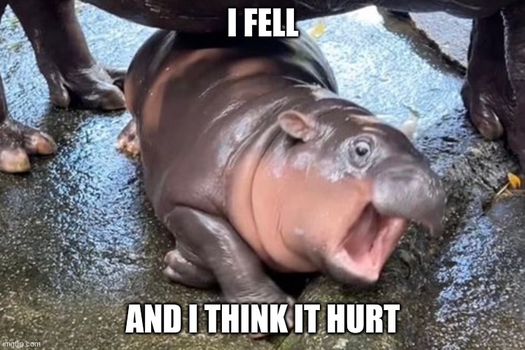 I think | I FELL; AND I THINK IT HURT | image tagged in moo deng | made w/ Imgflip meme maker