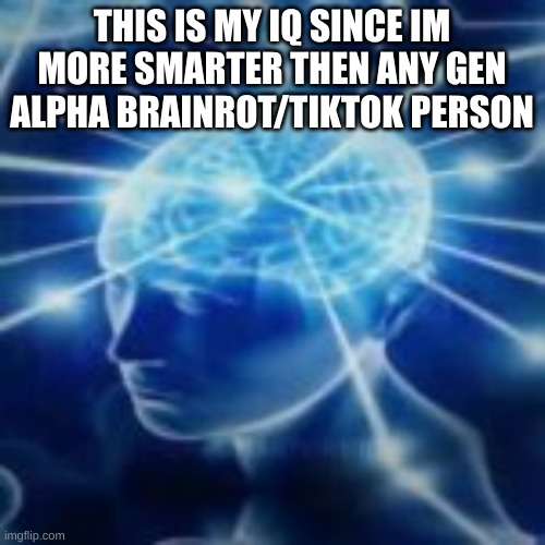 but you didn't have to cut me off | THIS IS MY IQ SINCE IM MORE SMARTER THEN ANY GEN ALPHA BRAINROT/TIKTOK PERSON | image tagged in but you didn't have to cut me off | made w/ Imgflip meme maker