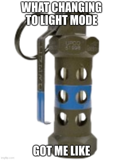 flashbang | WHAT CHANGING TO LIGHT MODE; GOT ME LIKE | image tagged in flashbang,lol,lmao,so funny,yes im using extra tags for no reason,oh wow are you actually reading these tags | made w/ Imgflip meme maker