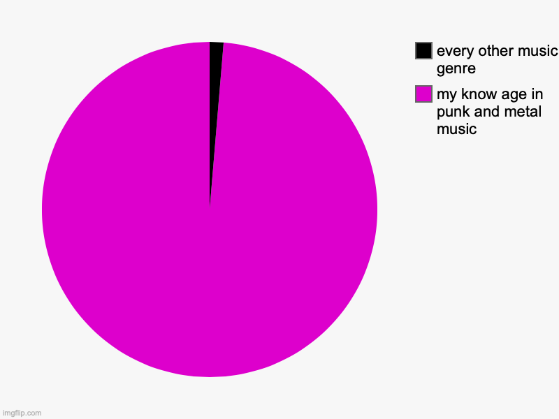 my know age in punk and metal music , every other music genre | image tagged in charts,pie charts | made w/ Imgflip chart maker